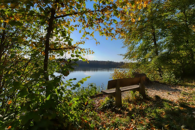 足球欧冠淘汰赛再次出现争议红牌